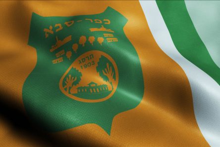 פרויקט בן יהודה כפר סבא